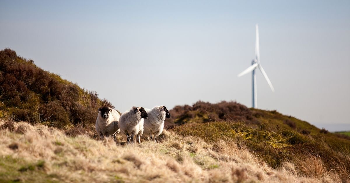 Plans for England’s Largest Onshore Wind Farm on Scout Moor Advance